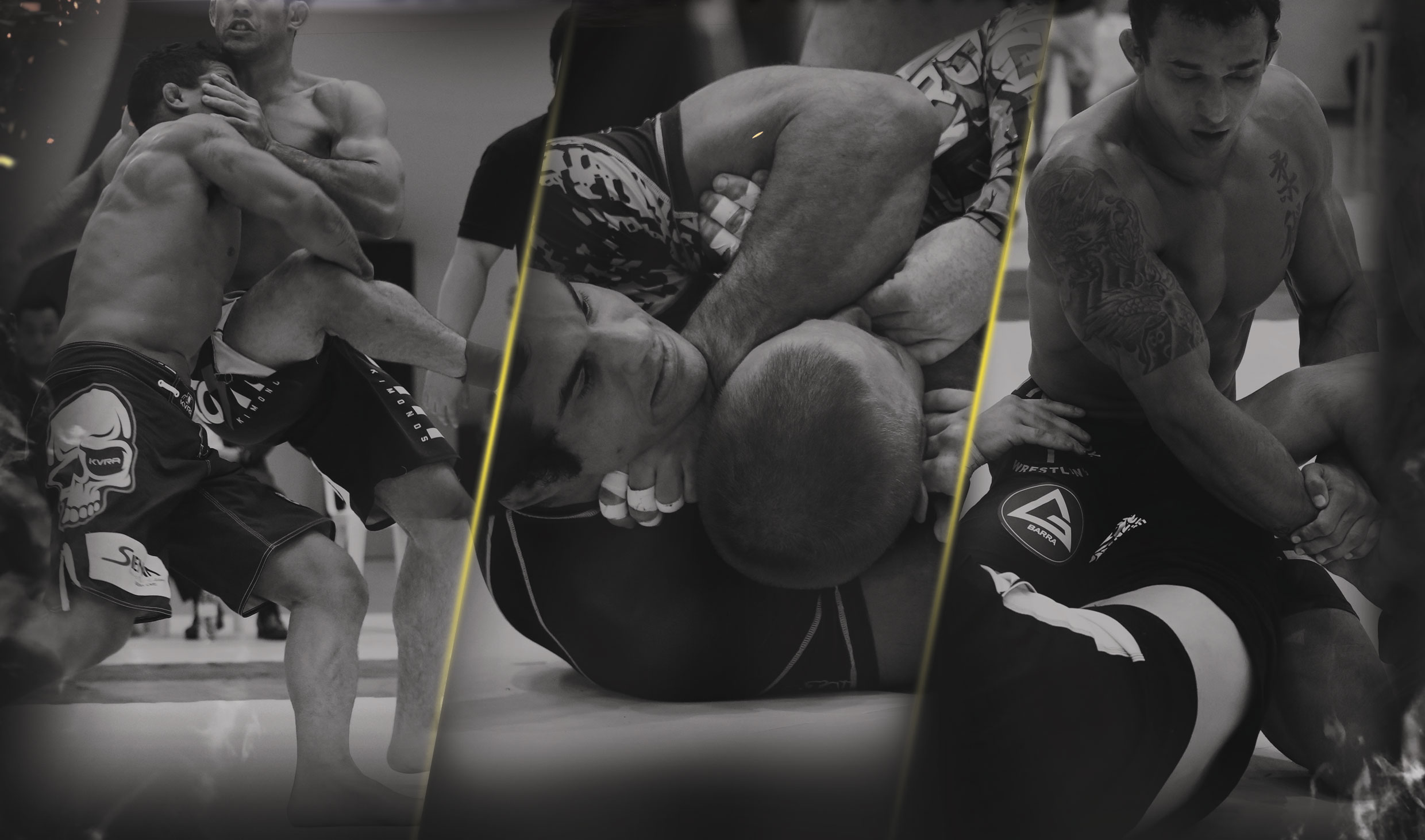 ЧЕМПИОНАТ МИРА ПО ГРЭППЛИНГУ ADCC 2017